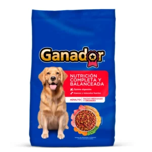 croquetas ganador adulto