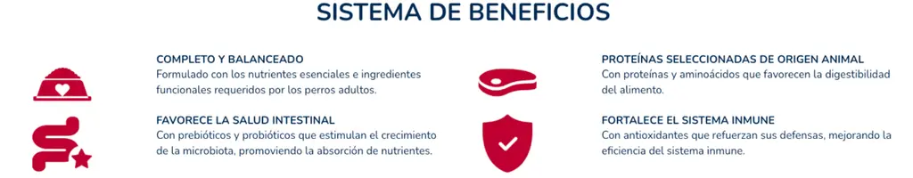 alimento perro ganador premium adulto