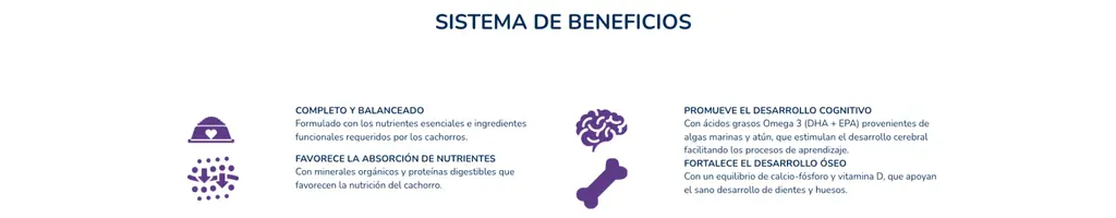 beneficios ganador premium cachorro grande