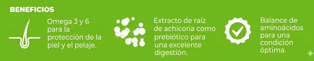 Nupec adulto beneficios