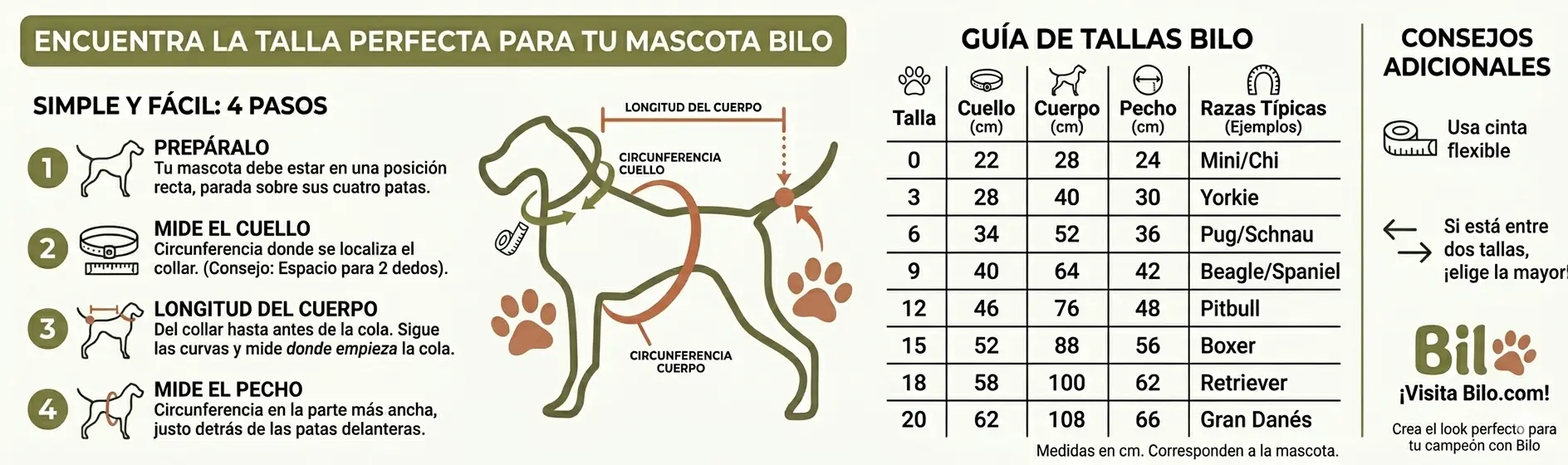 guia tallas ropa mascota